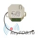 Радиокарта двухканальная 9-24В NERO Radio 8117 UPM 